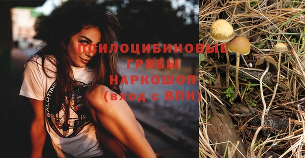 гашик Пролетарск
