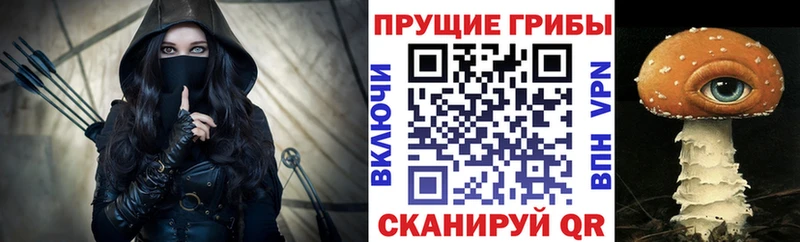 кракен как войти  Калач  Галлюциногенные грибы MAGIC MUSHROOMS  наркошоп 